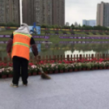 芙蓉园林 | 浏阳河风光带的专属“美容师”为大赛增添靓丽风景