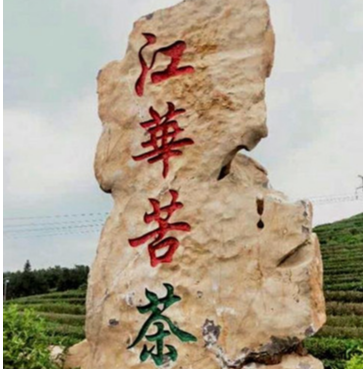 江华：苦茶产业发展高峰论坛召开