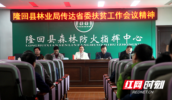 隆回县林业局学习传达全省扶贫工作会议精神