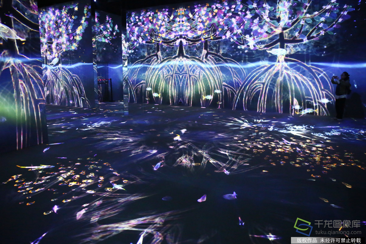 游客在植物馆数字展厅参观(图片来源:tuku.qianlong.com)。千龙网记者 鄂晓颖摄