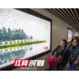震撼！近100幅劳动者影像公益作品亮相长沙地铁