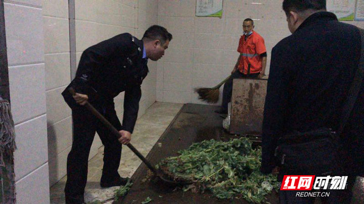 【警视窗】阳台种罂粟，看永定民警挥剑斩“毒”