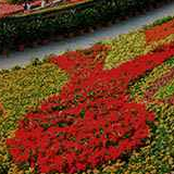 做青年朋友的知心人（人民论坛）