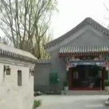 魅力世园会：34个展园打造“中华园艺展示区”