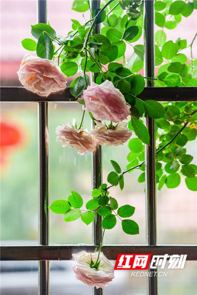 23a79593-2a47-4602-a3d0-1d40a20419c9.jpg 23a79593-2a47-4602-a3d0-1d40a20419c9.jpg