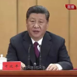 学习用典︱青春虚度无所成，白首衔悲亦何及