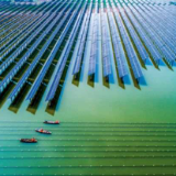 14个岗位只招到1人,贫困乡村遭遇“人才荒”