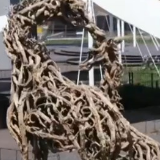 植物馆：“万花筒”演绎植物大智慧