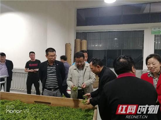 赵云海到人潮溪镇调研指导脱贫攻坚工作