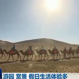 游园 赏景 假日生活体验多