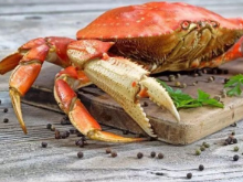 这8批次食品抽检不合格 湖南株洲一海鲜店梭子蟹镉超标