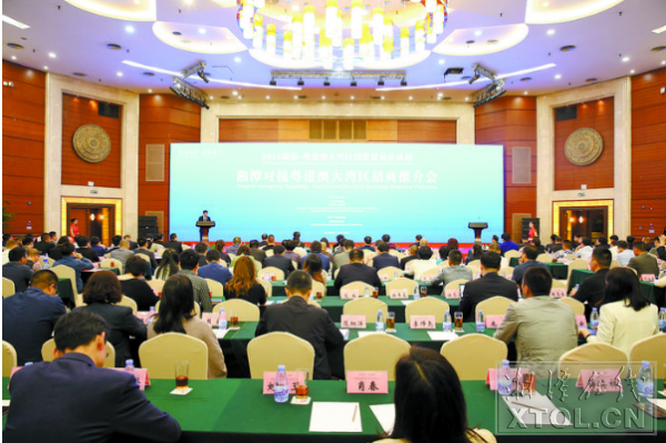 2019湖南—粤港澳大湾区投资贸易洽谈周推介会现场。