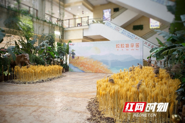 微信图片_20190505171422_副本.jpg