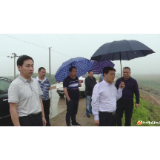 钱丹青到东山镇检查了这些工作……