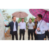 “蛮好！不要过度装饰，要因地制宜。”