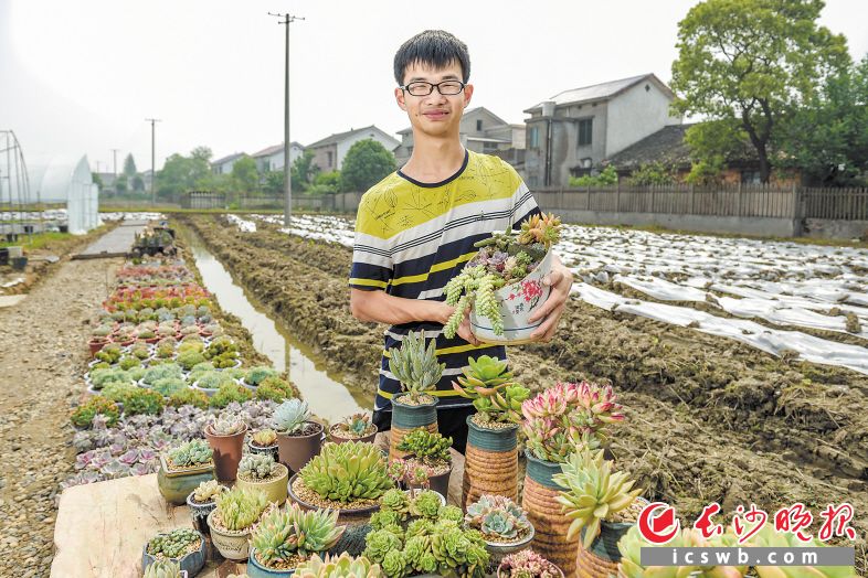 　　当同龄人正四处投简历茫然找工作的时候，中南林业科技大学涉外学院的大四学生谭俊用两百元起步，靠着玩多肉玩出了创业路，月收入高达两三万元。  　　长沙晚报全媒体记者 陈飞 摄