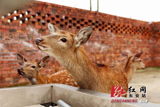 微信图片_20190507112429_副本_副本.jpg
