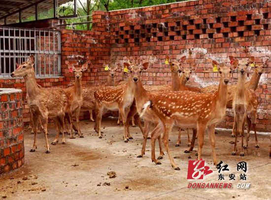 微信图片_20190507104802_副本_副本.jpg