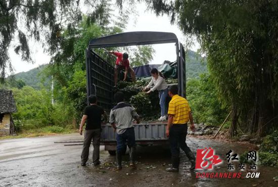 微信图片_20190507161701_副本_副本.jpg