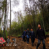 蓝山：推进重点项目建设 加快旅游产业发展