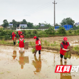 从会上“画圈”到牵头“圆梦” 掌声响起来！