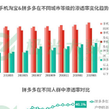 极光大数据报告：拼多多新增用户近半来自一二线城市