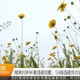 【湖南新闻联播】湘潭拆除96套违建别墅、59亩违建仿古建筑