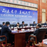 “芯片”硬核“名片”闪亮  请看高质量发展的“长沙倡议”