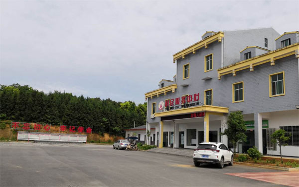 路口镇党员担当亮身份群众办事不出组