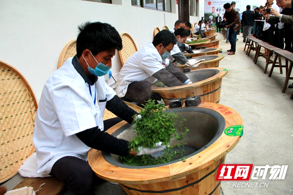 潇湘“邵阳红”100亿茶产业第三届技能大赛 20余名茶匠茶艺大PK