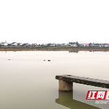 “营商”一线｜投身“乡村振兴” 这里的落户企业乐当“红娘”