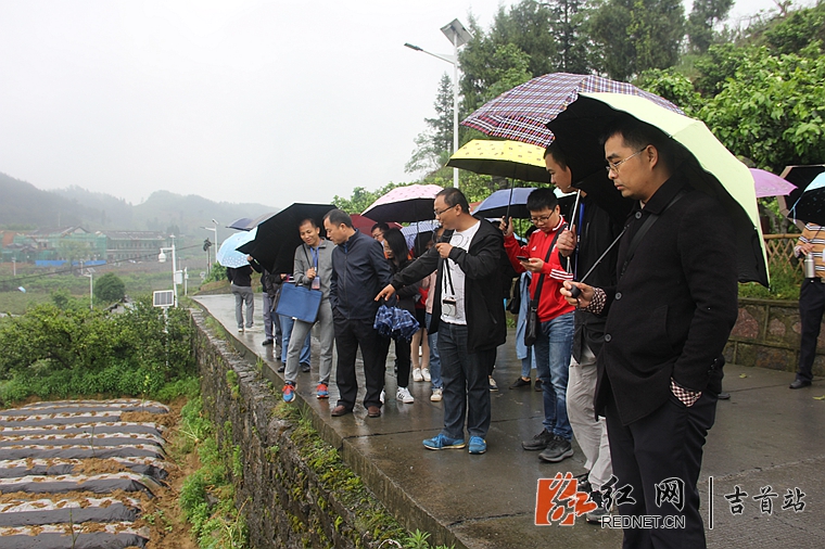 为学员介绍菖蒲塘村特色农产品种植产业