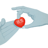 第二届进口博览会吸引世界500强和龙头企业超250家