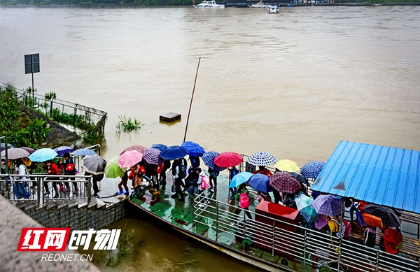 清晨细雨中，人们撑着小伞，走下渡船，开启新的一天。