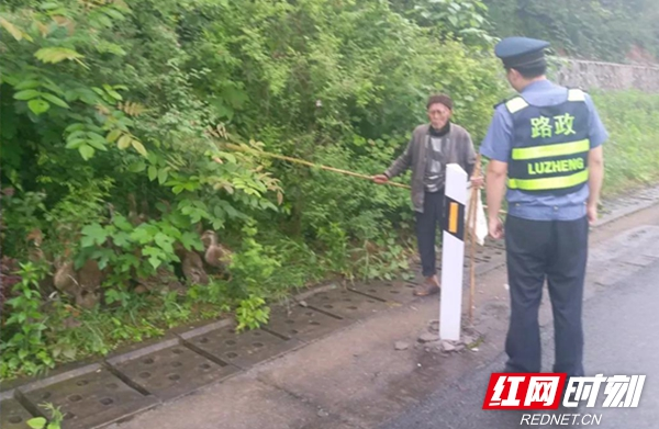 高速公路成了赶鸭场，路政蜀黍连人带鸭全“抓”了