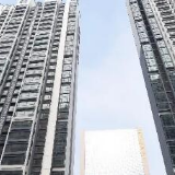 携手共建数字中国