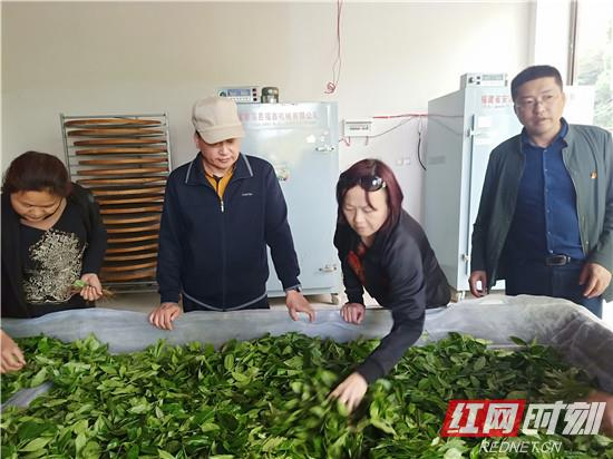桑植：皮运舰到乡镇调研脱贫攻坚工作