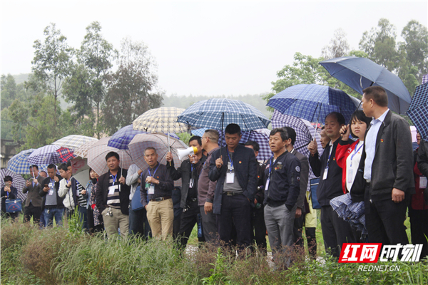 临武：“三结合”让农村党员致富带头人集中充电“热起来”