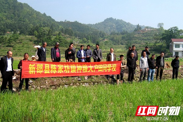 新邵县：“田间课堂”为农民“传经送宝”