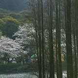 17年、20年、25年…逃得再久都难逃天网