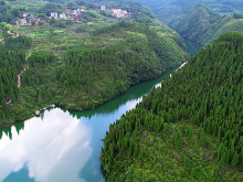 青山绿水我的家⑧|油溪桥村：“绿水青山就是金山银山”的生动样本