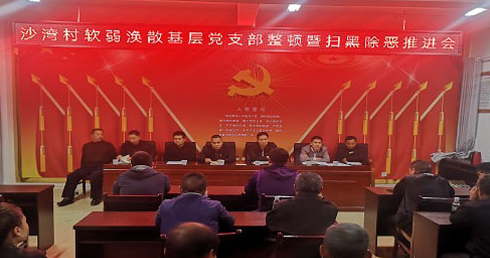 集中整治形式主义官僚主义|桥江镇沙湾村召开整顿软弱涣散基层党支部暨扫黑除恶推进会