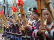 四月八 靖州岩脚侗寨欢度“姑娘节”