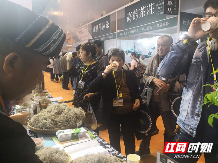 一片莓茶为何舞动上海滩