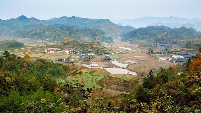 timg (11).jpg
