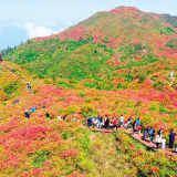 杜家毫：牢记职责使命 保持韧劲拼劲一鼓作气攻下贫困最后“堡垒”