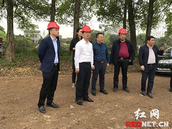 湘阴县县委书记汪灿(右三)带领县农村"空心房"整治领导小组成员在该县