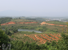 祁阳：规划引领 农文旅一体 推进现代农业示范园建设