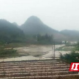 永顺县遭暴雨袭击4298人受灾 积极开展抗洪抢险工作