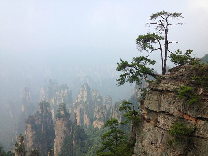 timg (16).jpg timg (16).jpg